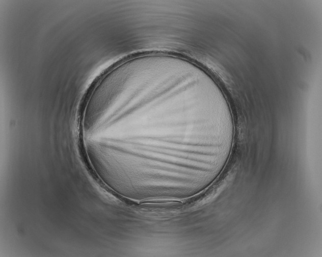 X0000112971077200909241322