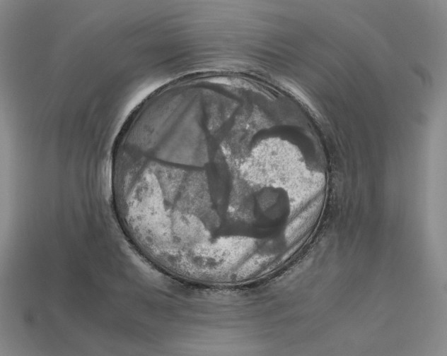 X0000112971079200909241322
