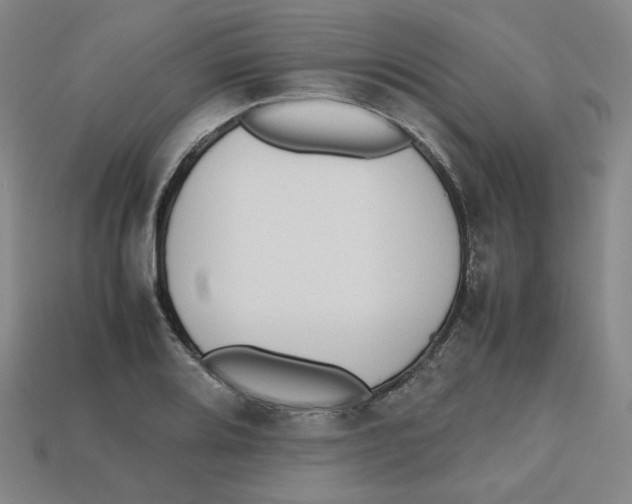 X0000112971080200909241322