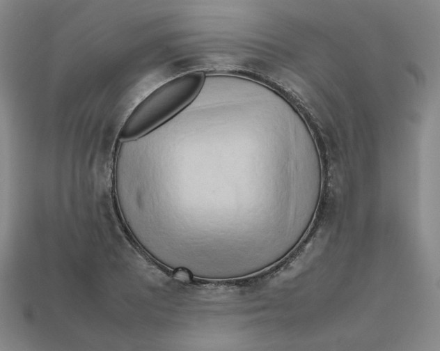 X0000112971081200909241322