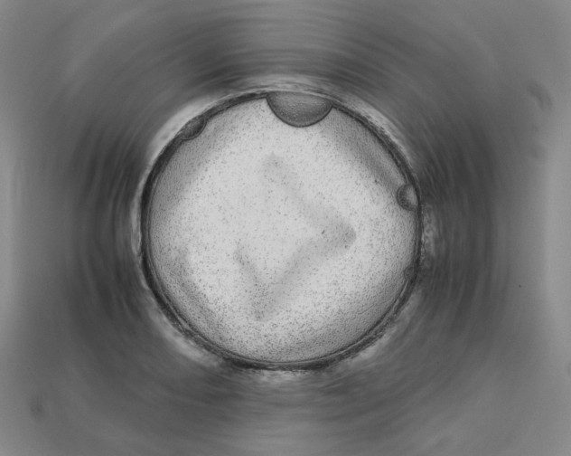 X0000112971082200909241322
