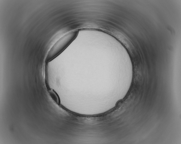 X0000112971084200909241322