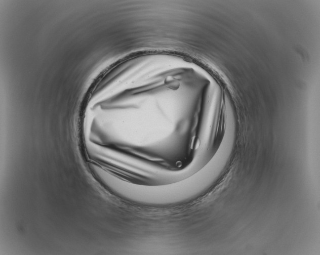 X0000112971085200909241322