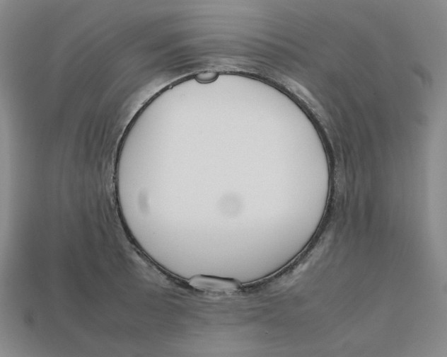 X0000112971089200909241322