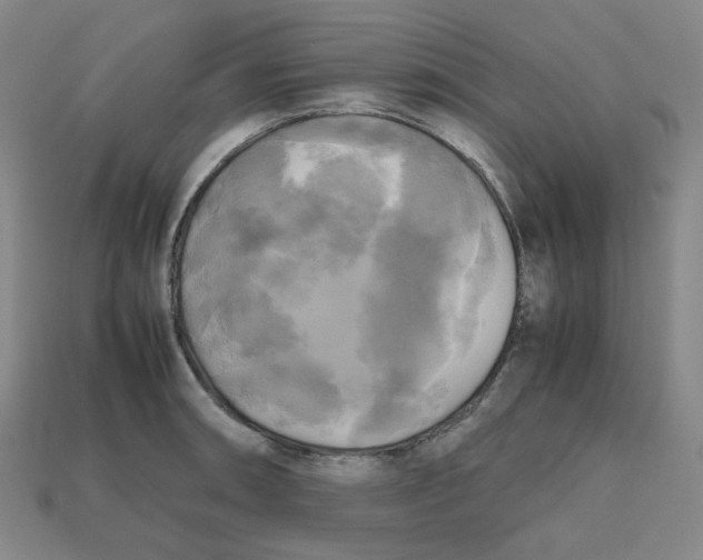 X0000112971090200909241322