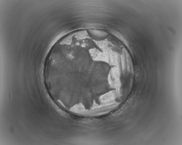 X0000112971091200909241322