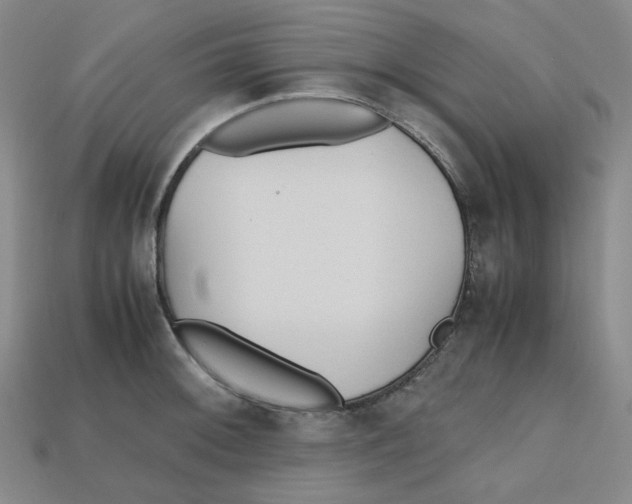 X0000112971092200909241322