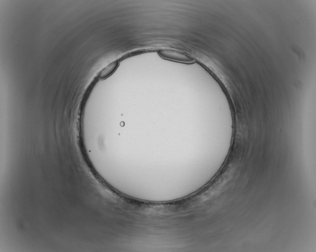 X0000112971093200909241322