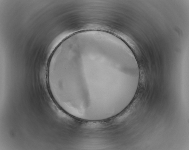 X0000112971094200909241322