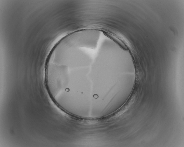 X0000112971095200909241322