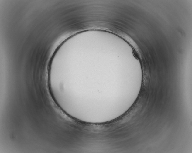 X0000112971096200909241322