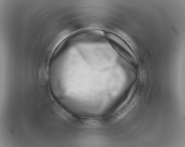X0000112971097200909241322