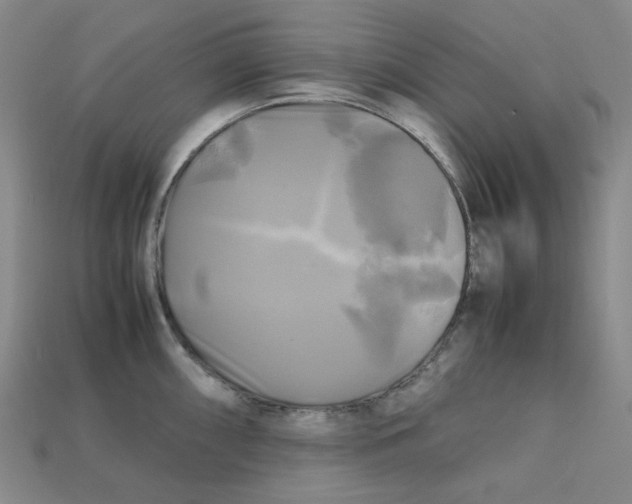 X0000112971098200909241322