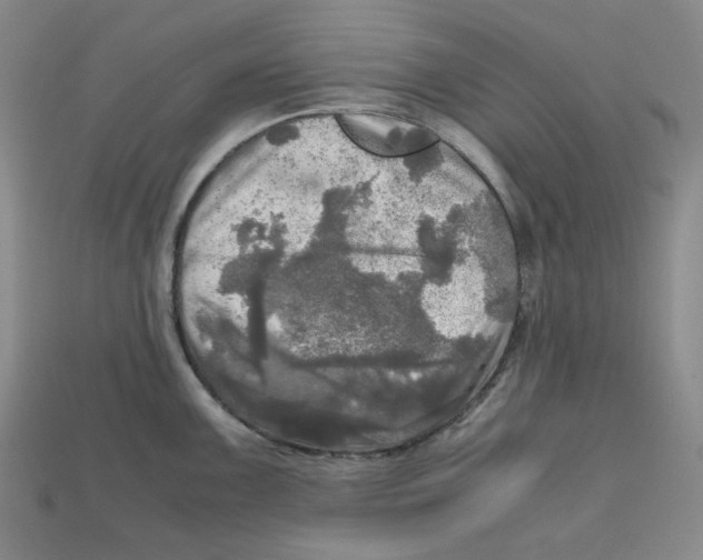 X0000112971099200909241322