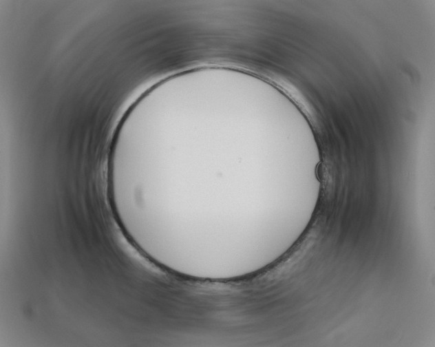 X0000112971100200909241322