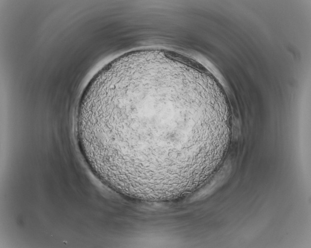 X0000112971101200909241322
