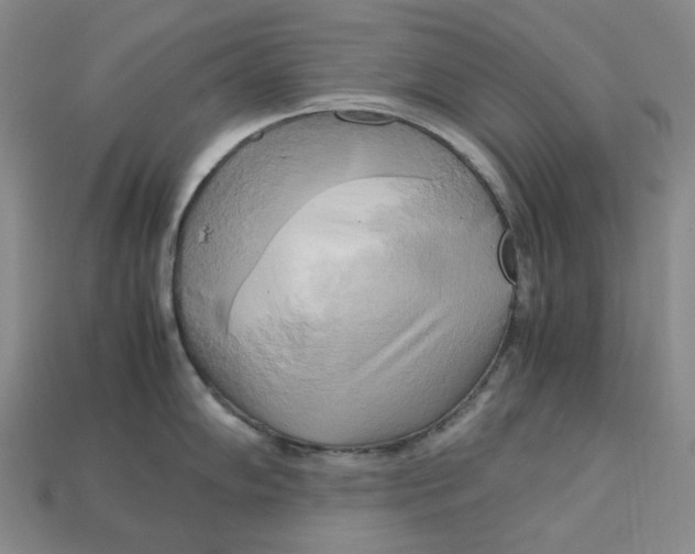 X0000112971102200909241322