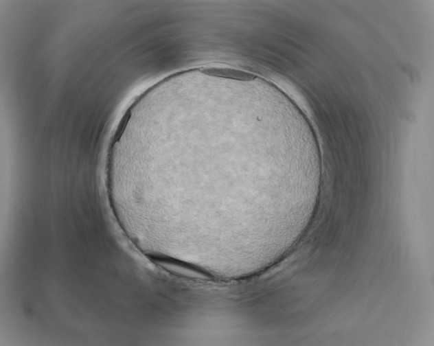 X0000112971104200909241321