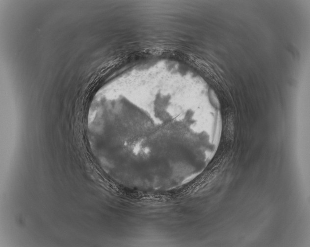 X0000112971105200909241321