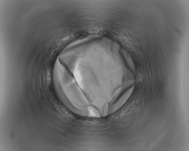 X0000112971106200909241321