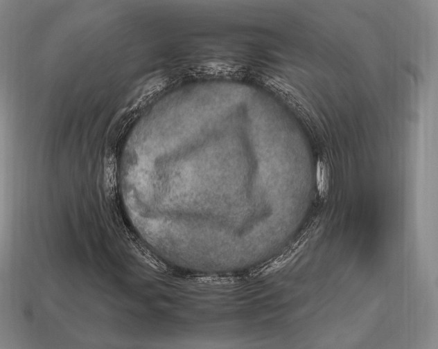 X0000112971107200909241321
