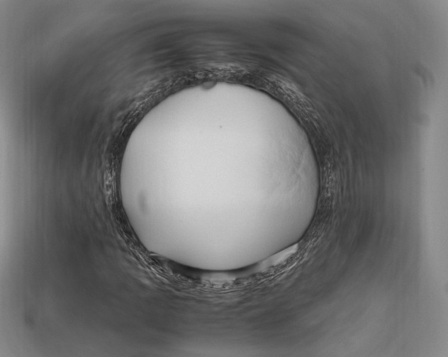 X0000112971109200909241321
