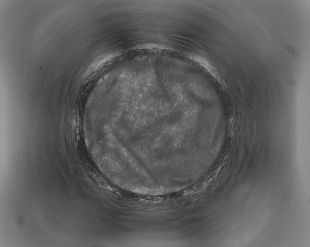 X0000112971111200909241321