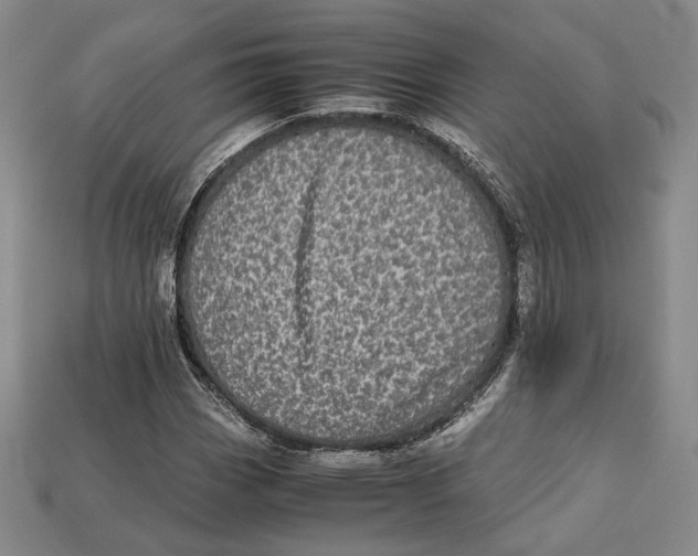 X0000112971113200909241321