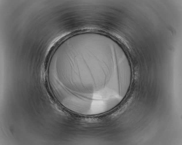 X0000112971117200909241321