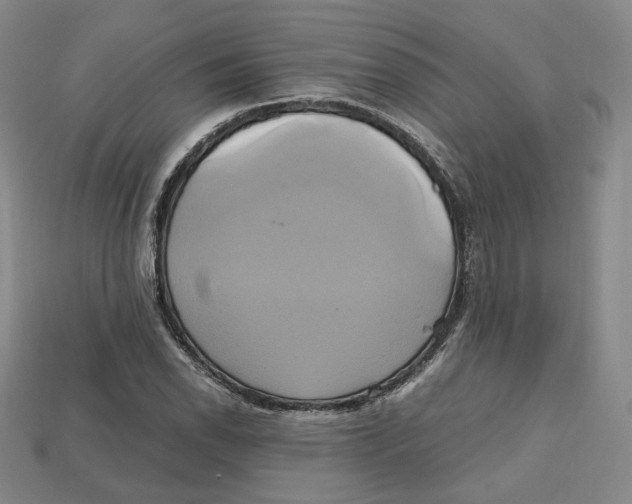 X0000112971118200909241321