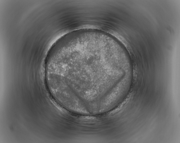 X0000112971119200909241321