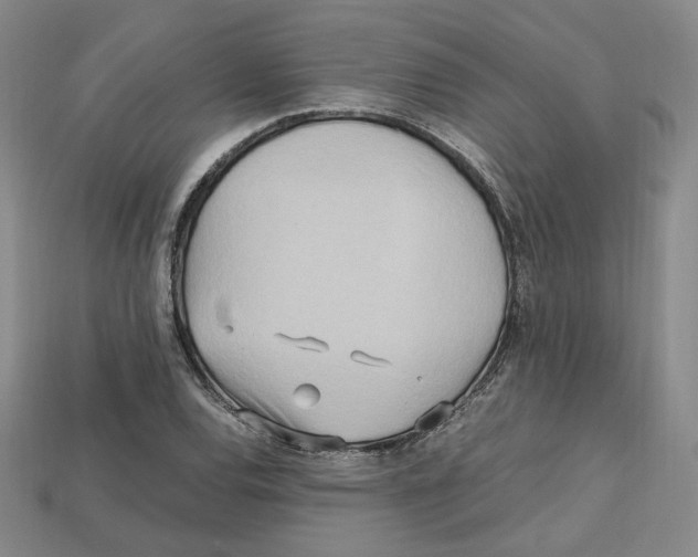 X0000112971120200909241321