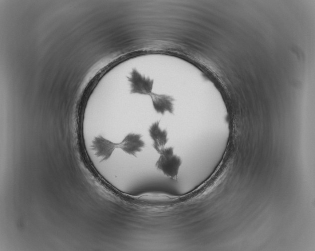 X0000112971122200909241321