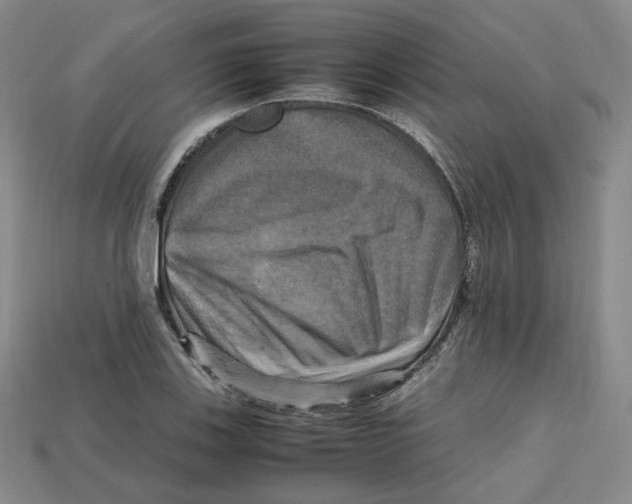 X0000112971123200909241321