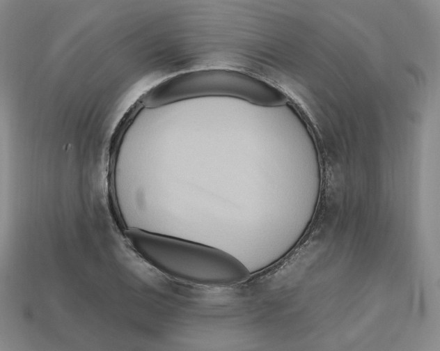 X0000112971124200909241321