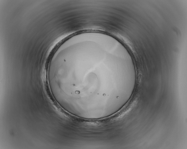 X0000112971125200909241321