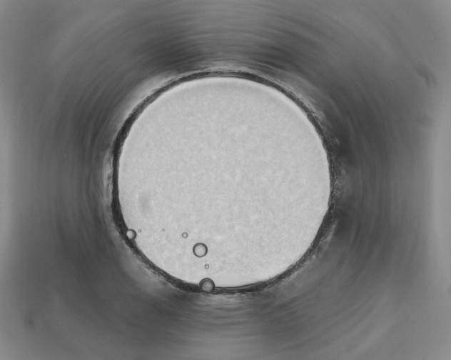 X0000112971126200909241321