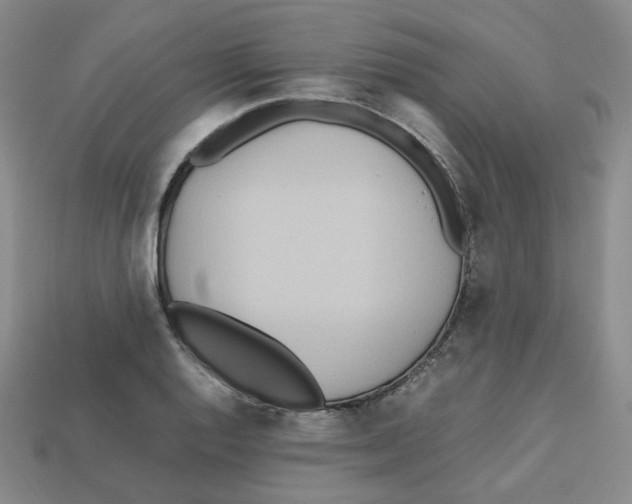 X0000112971128200909241321