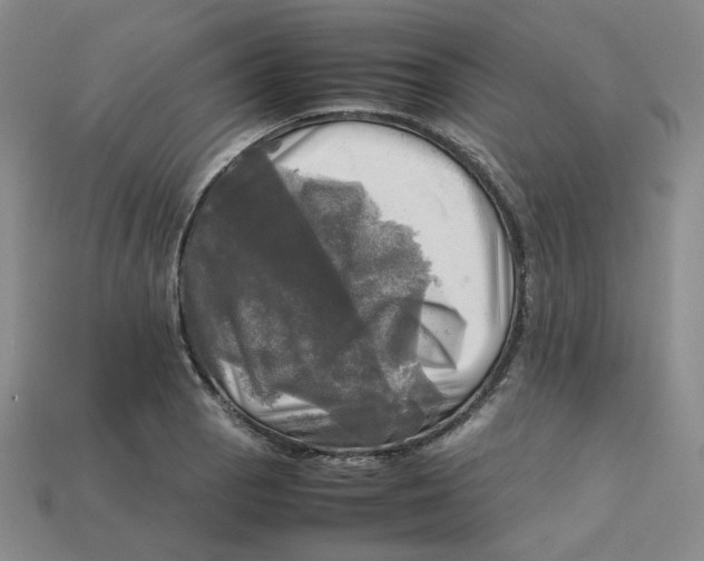 X0000112971129200909241321