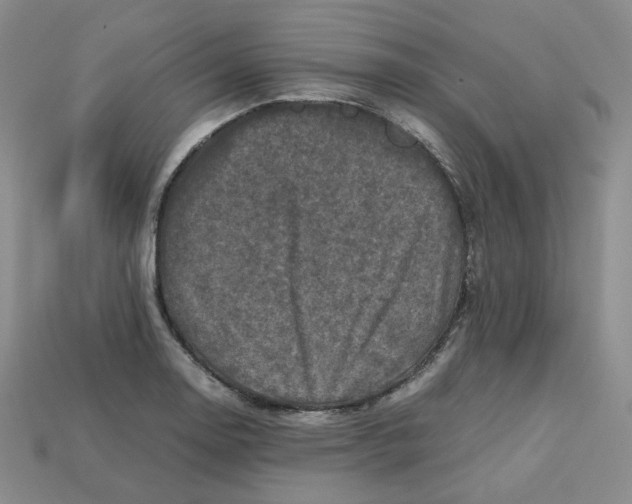 X0000112971130200909241321