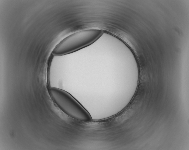 X0000112971132200909241321