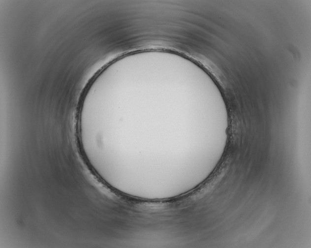 X0000112971134200909241321