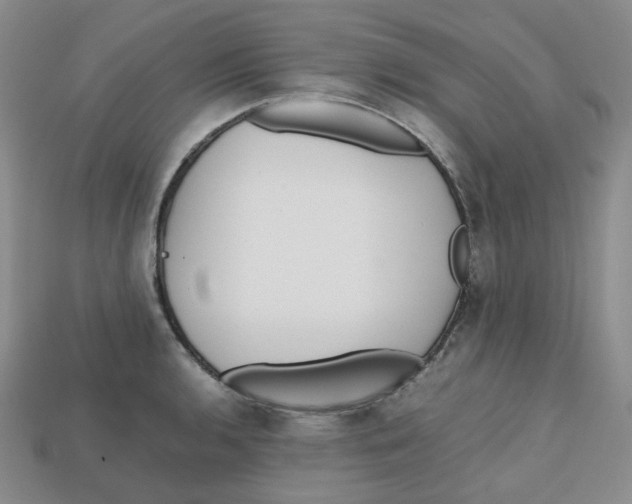 X0000112971136200909241321