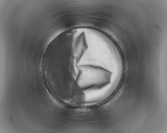 X0000112971137200909241321