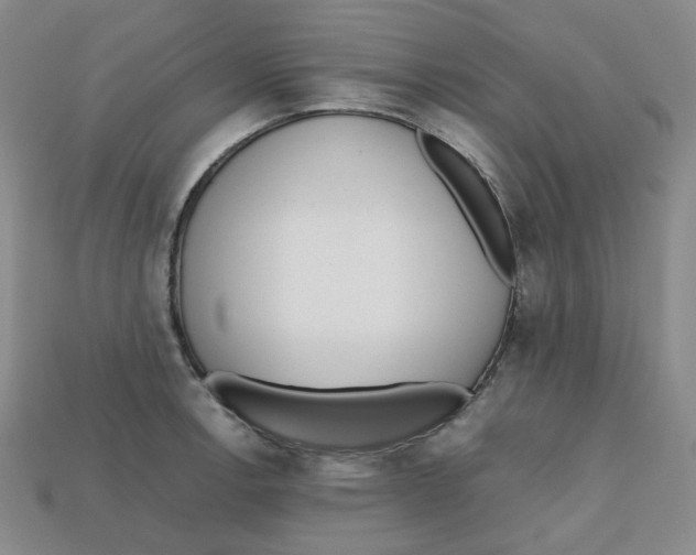 X0000112971138200909241321