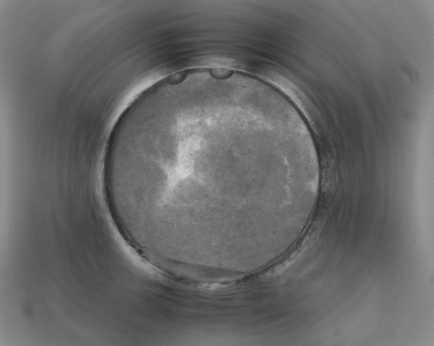 X0000112971139200909241321