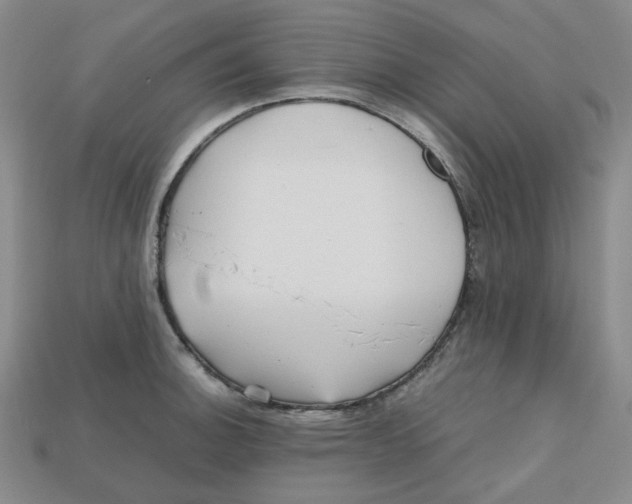 X0000112971140200909241321