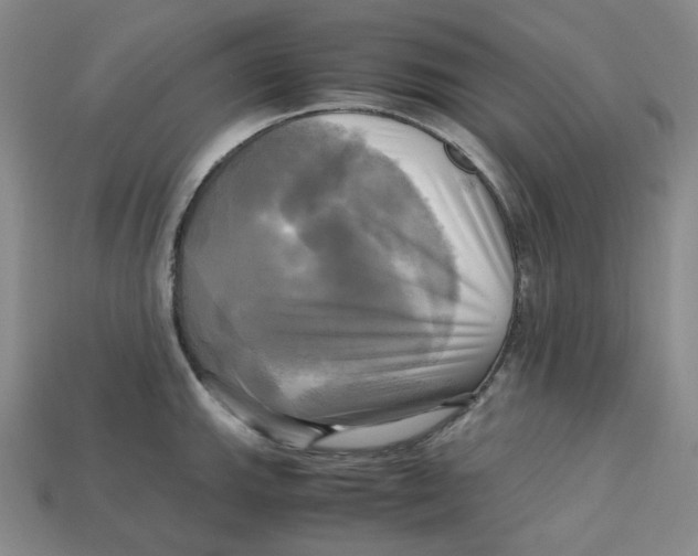 X0000112971143200909241321