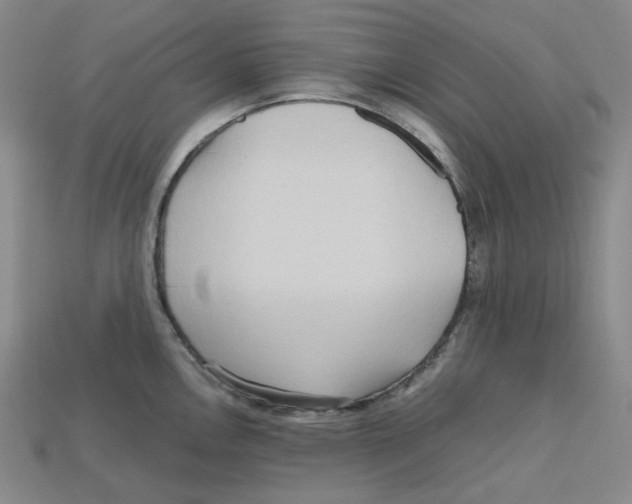 X0000112971146200909241321