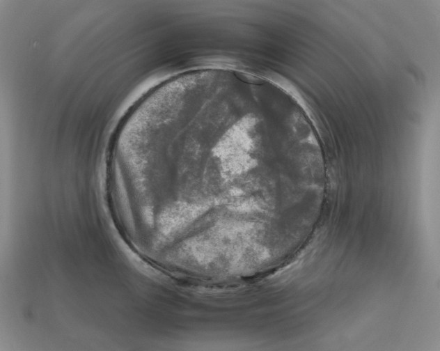 X0000112971147200909241321